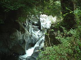 景ヶ島1の写真