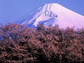 富士山の写真