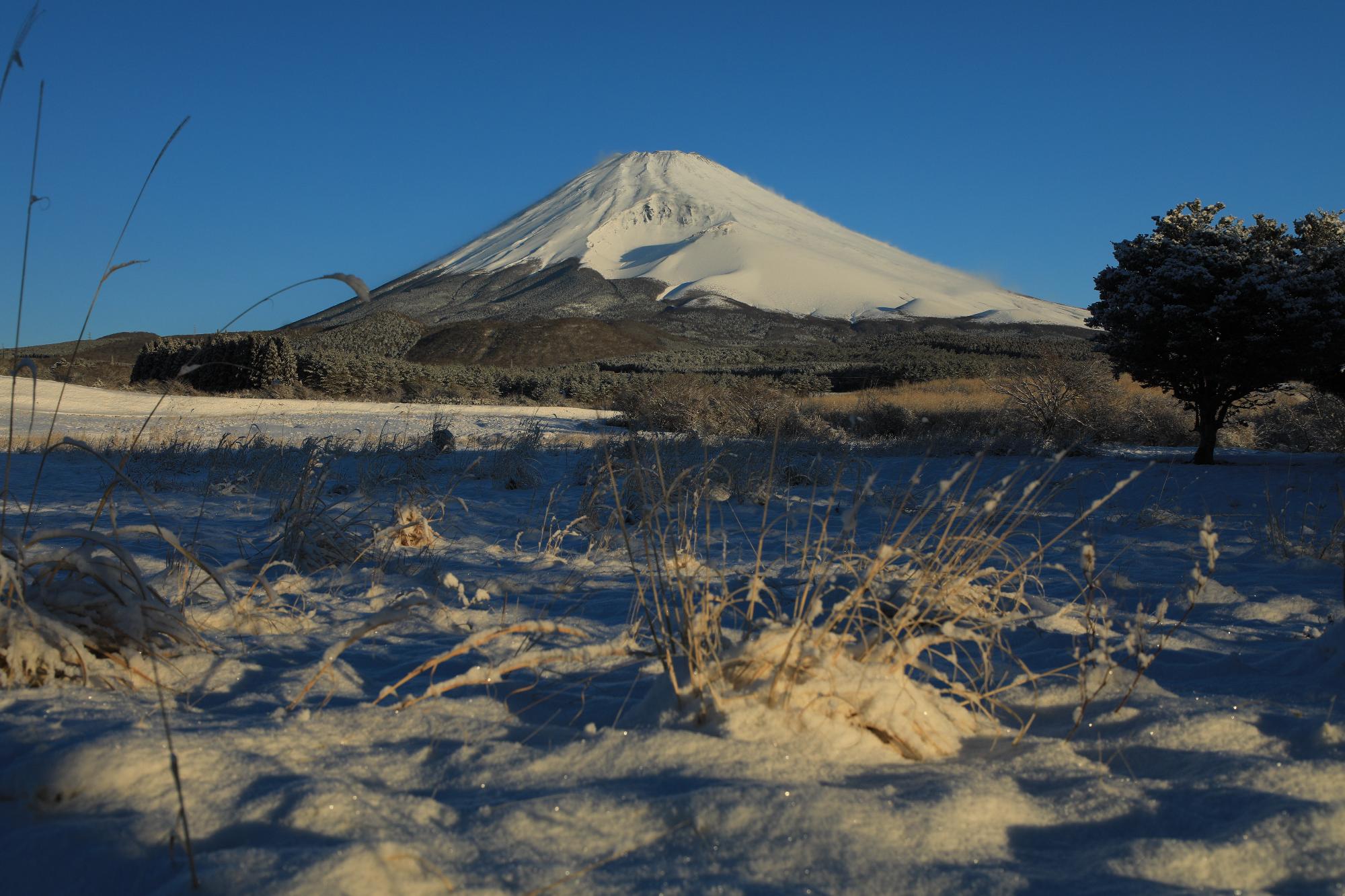 2月 「雪が嬉しい朝」原 久子