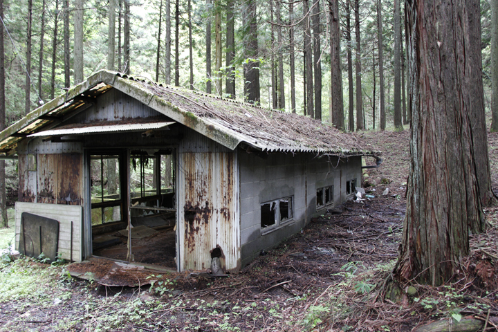 小屋東側2