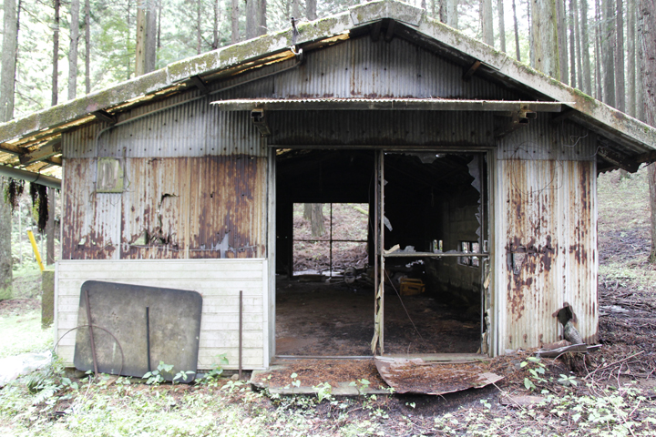 小屋東側1