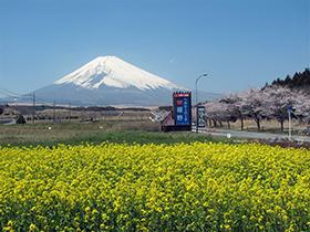 パノラマロード2