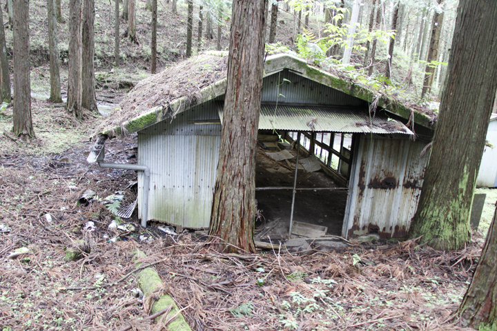 小屋西側2