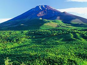 富士山の写真