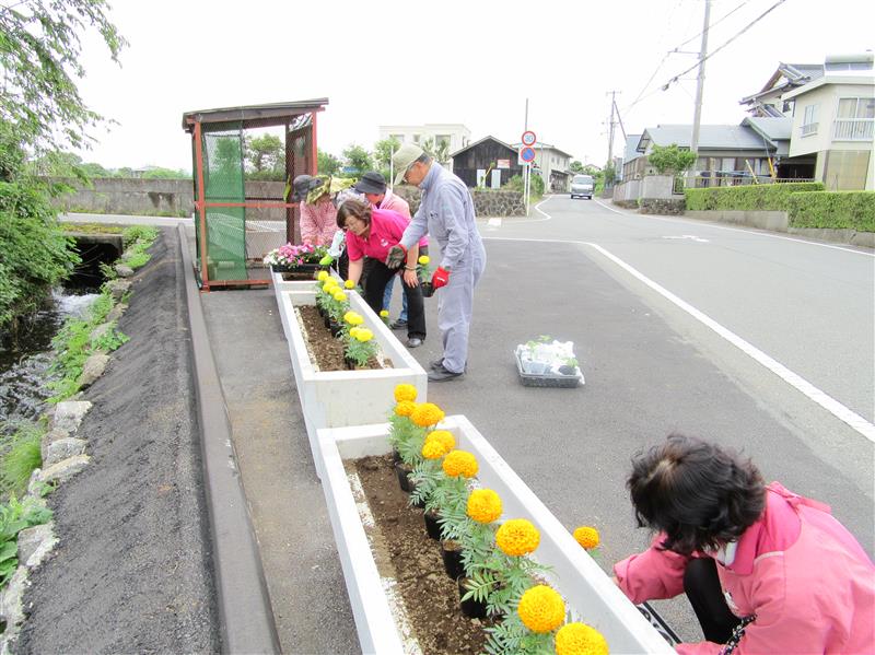 きゃべつくらぶがプランターに黄色い花を植えてている写真