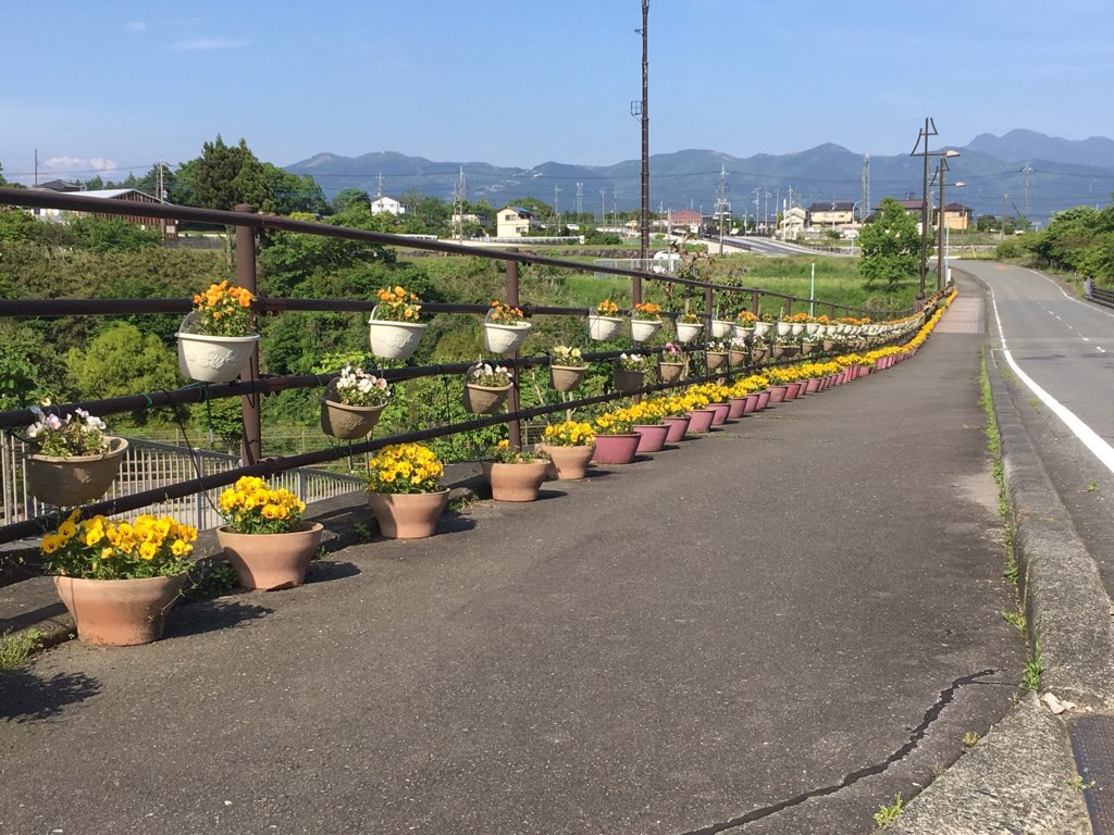 呼子大橋