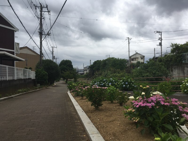 中川遊歩道