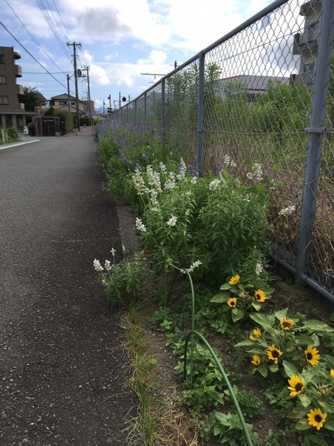 水窪線路沿い