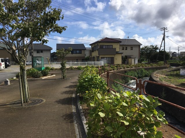 中川沿い遊歩道2