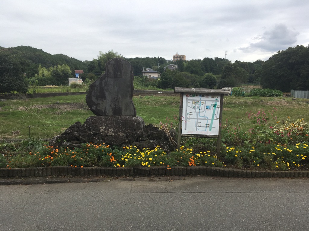 金沢堤会の花壇3