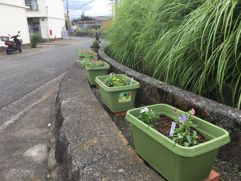 舞台団地区 花