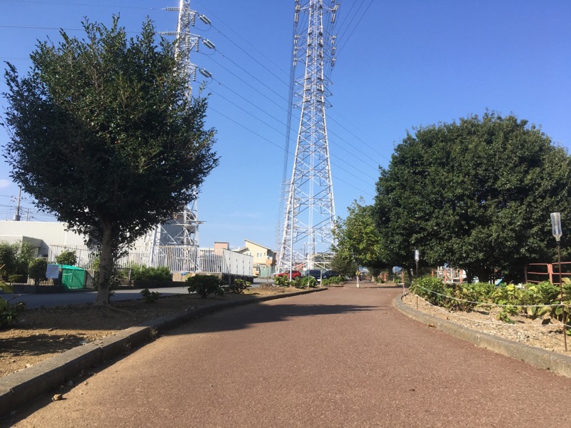 きれいな大場川遊歩道の写真