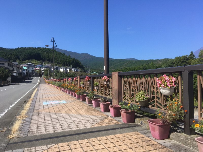 呼子大橋1