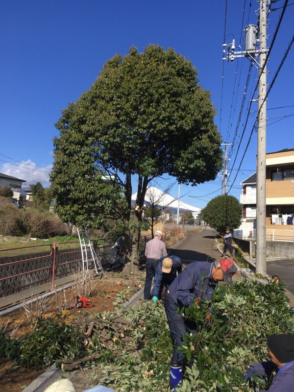 中川遊歩道2