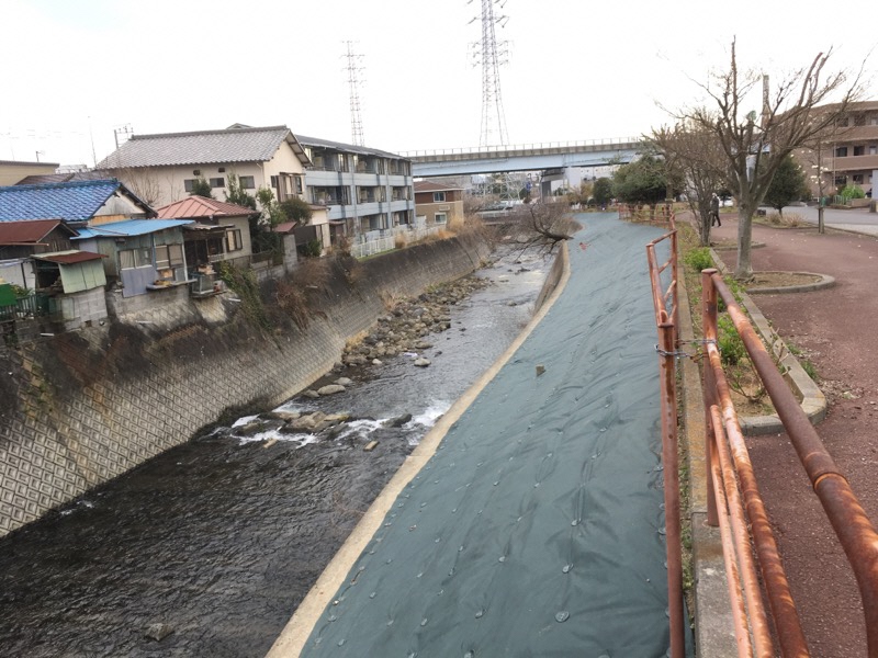 大場川の斜面にシートが張られた写真