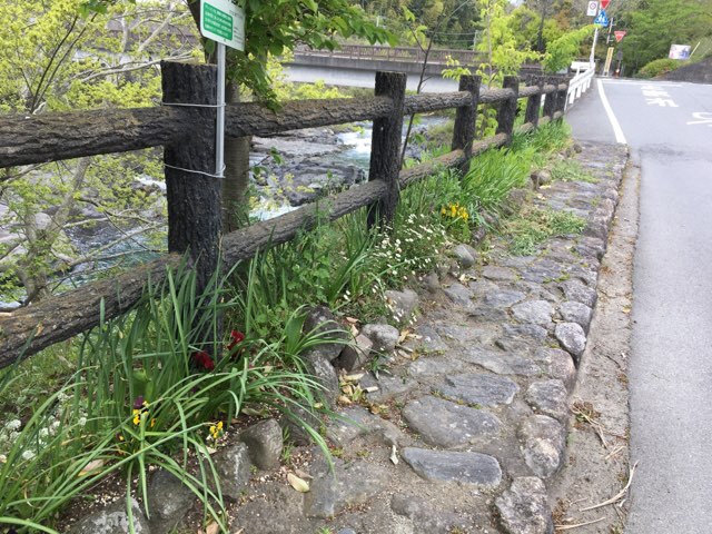 裾野ウォーキング健康会1