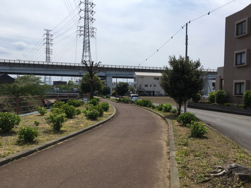 大場川遊歩道クリーンチーム1