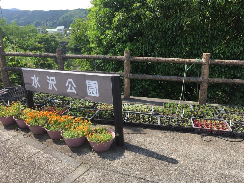 裾野原緑の会2