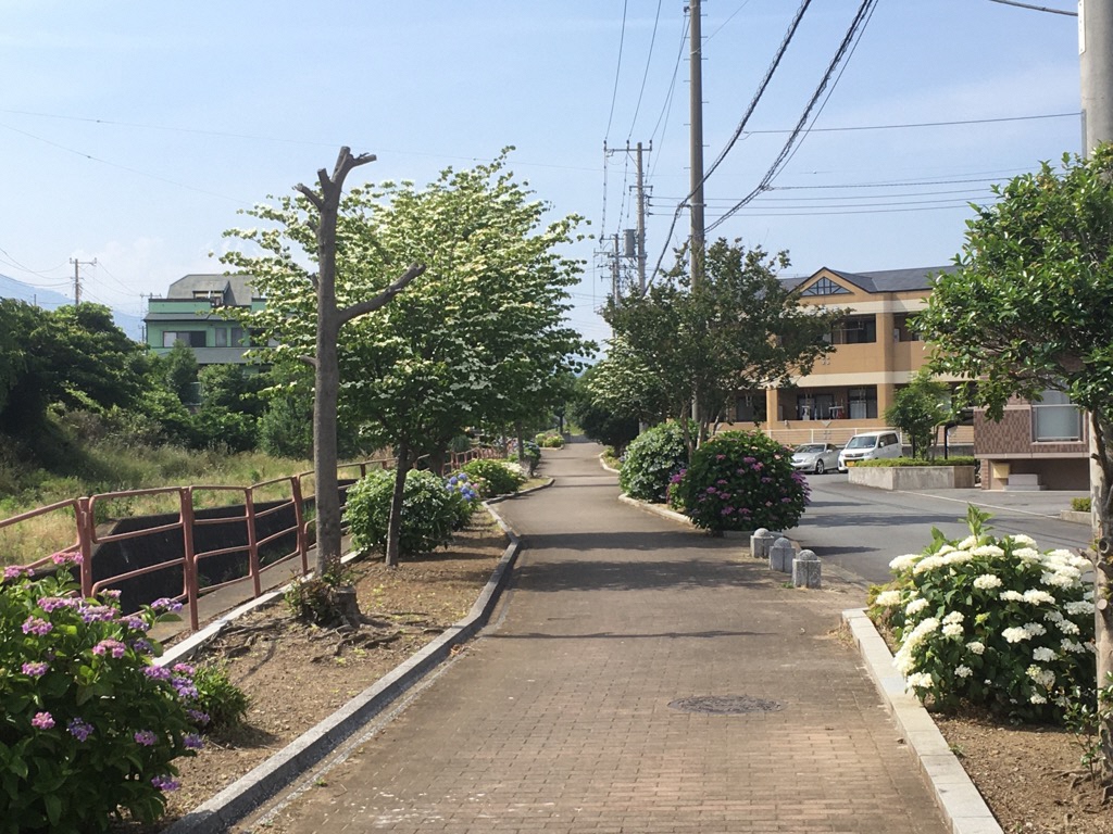 中川遊歩道クリーンチーム2