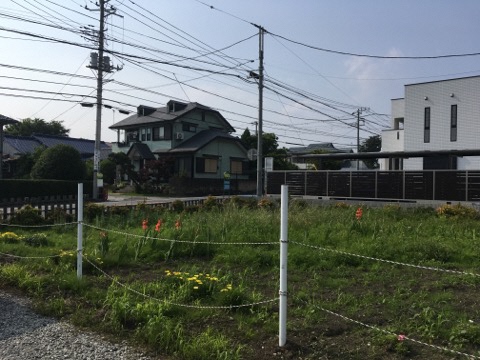 住宅地にある緑が生い茂った花壇の写真