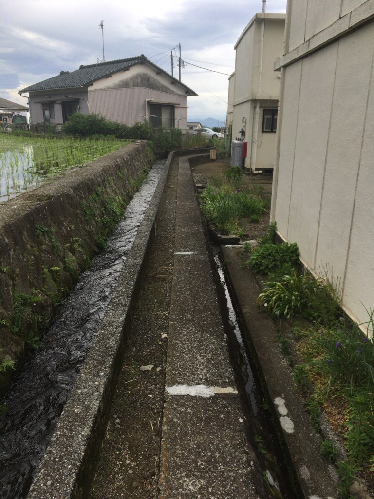 芝桜植栽