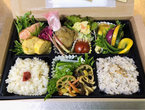 秋のお散歩弁当