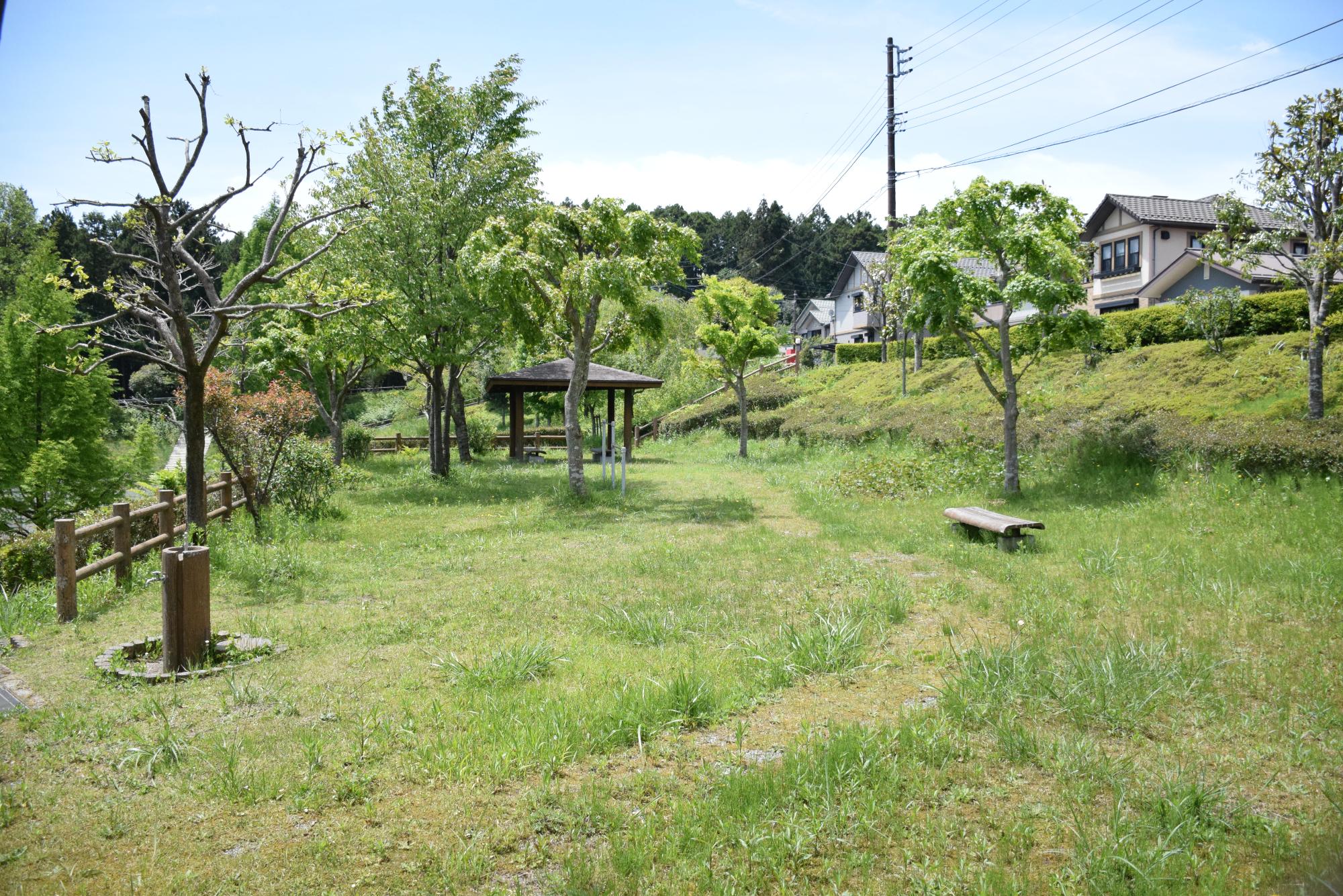 調整池公園04