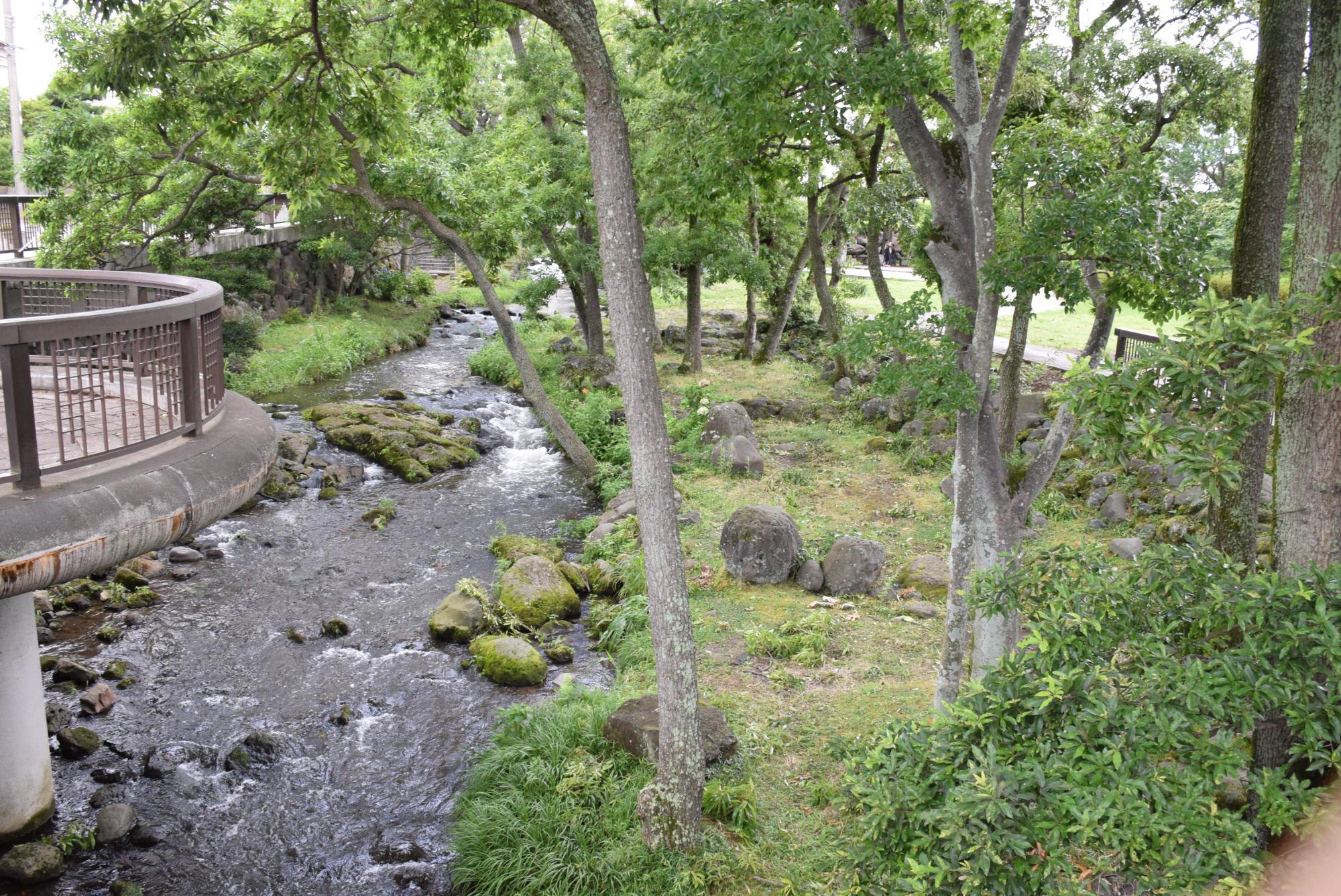 小柄沢緑地01