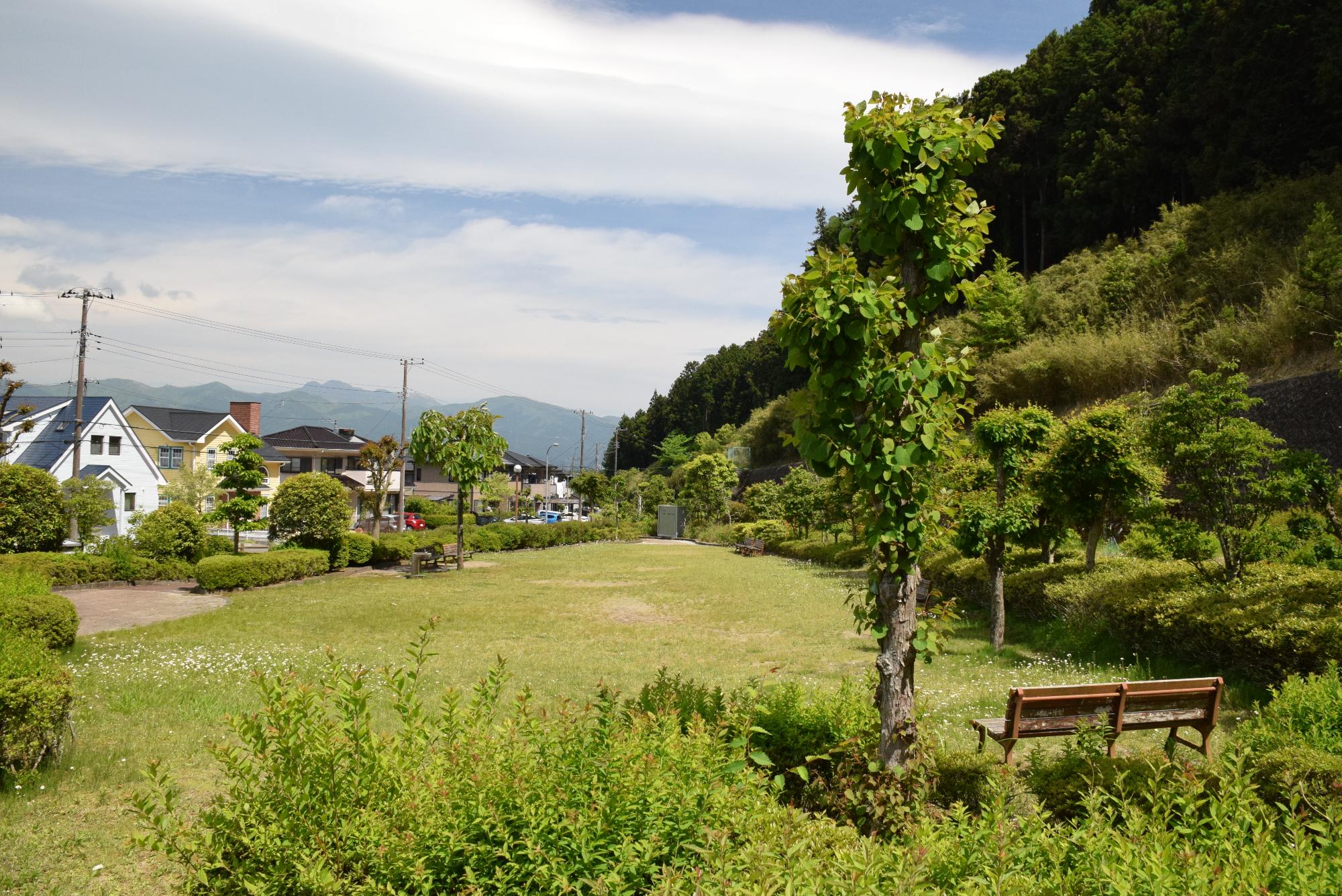 小柄沢緑地01