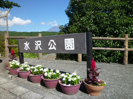水沢公園の看板の前に花が並んでいる写真