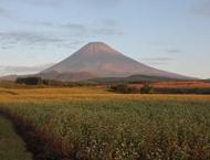 富士山:秋