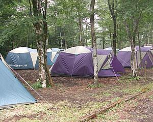 十里木キャンプ場にテントが張られた写真