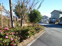 裾野原緑の会:写真2
