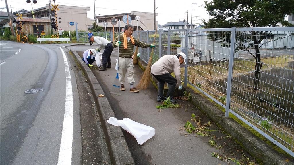 草取りの作業中の写真