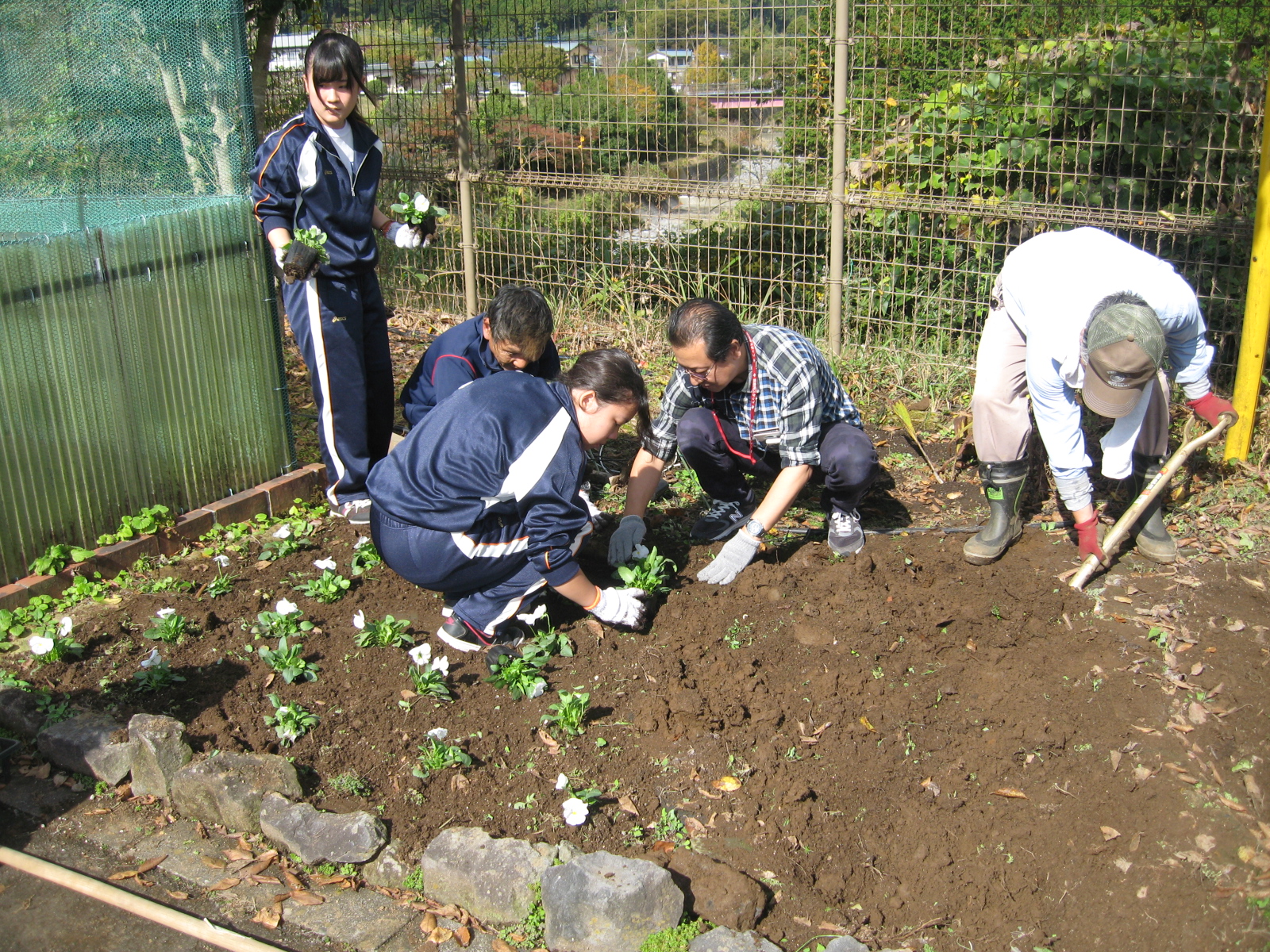 お花植え替え3