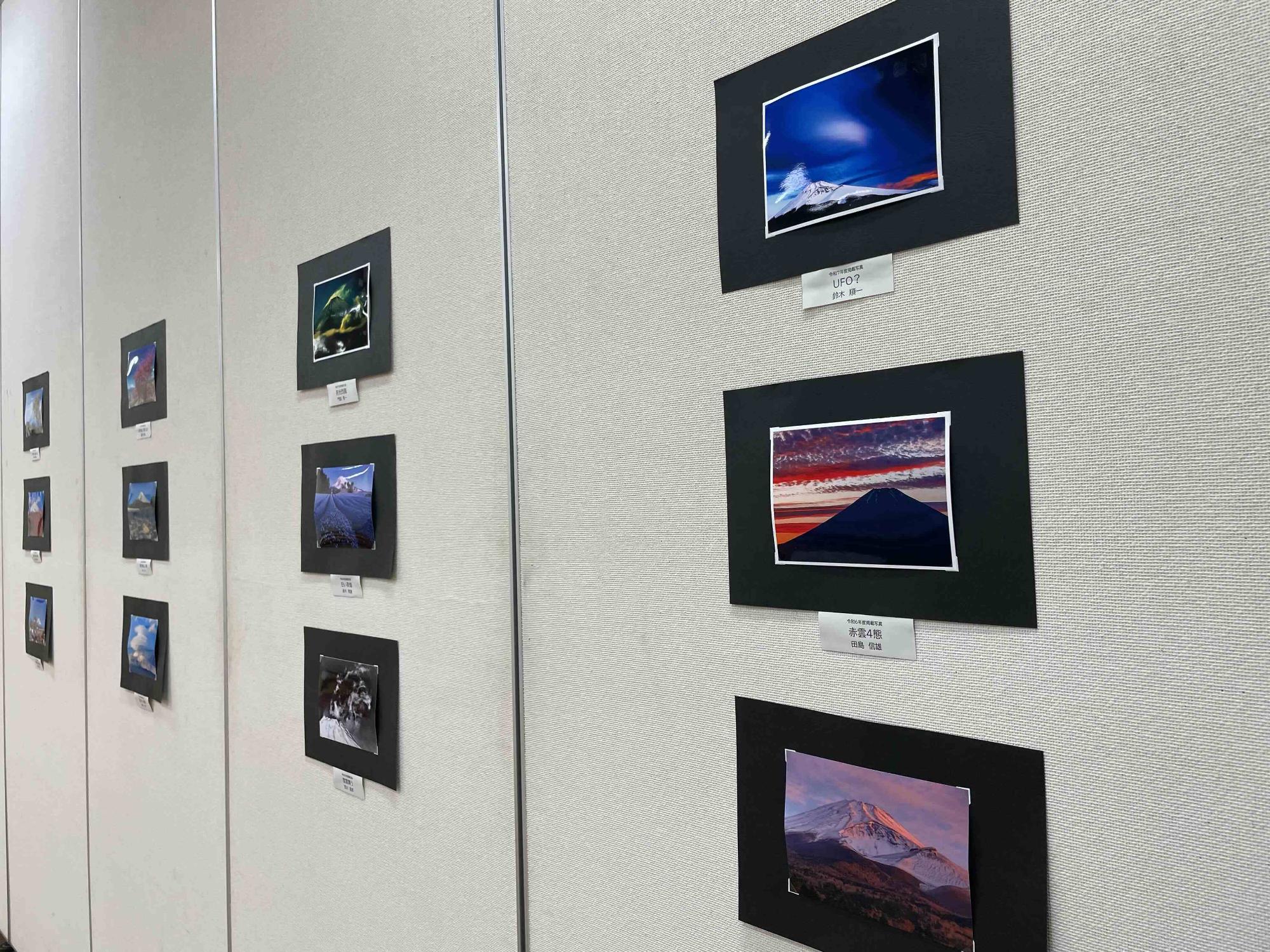 展示の様子
