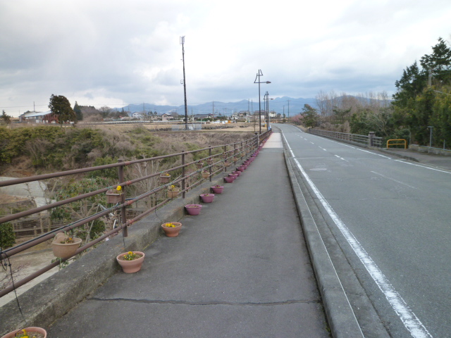 道沿いに植木鉢が並んでいる写真