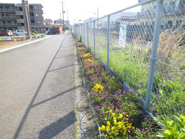 彩られた線路沿い