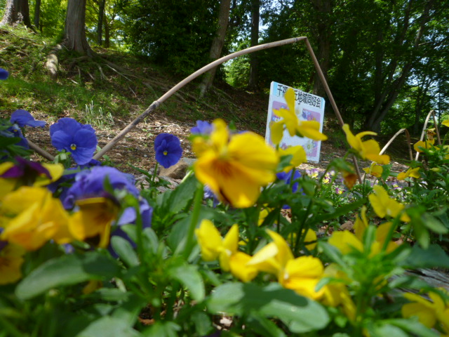 公園の花壇2