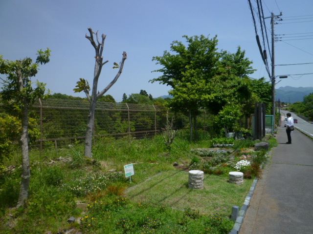 全景