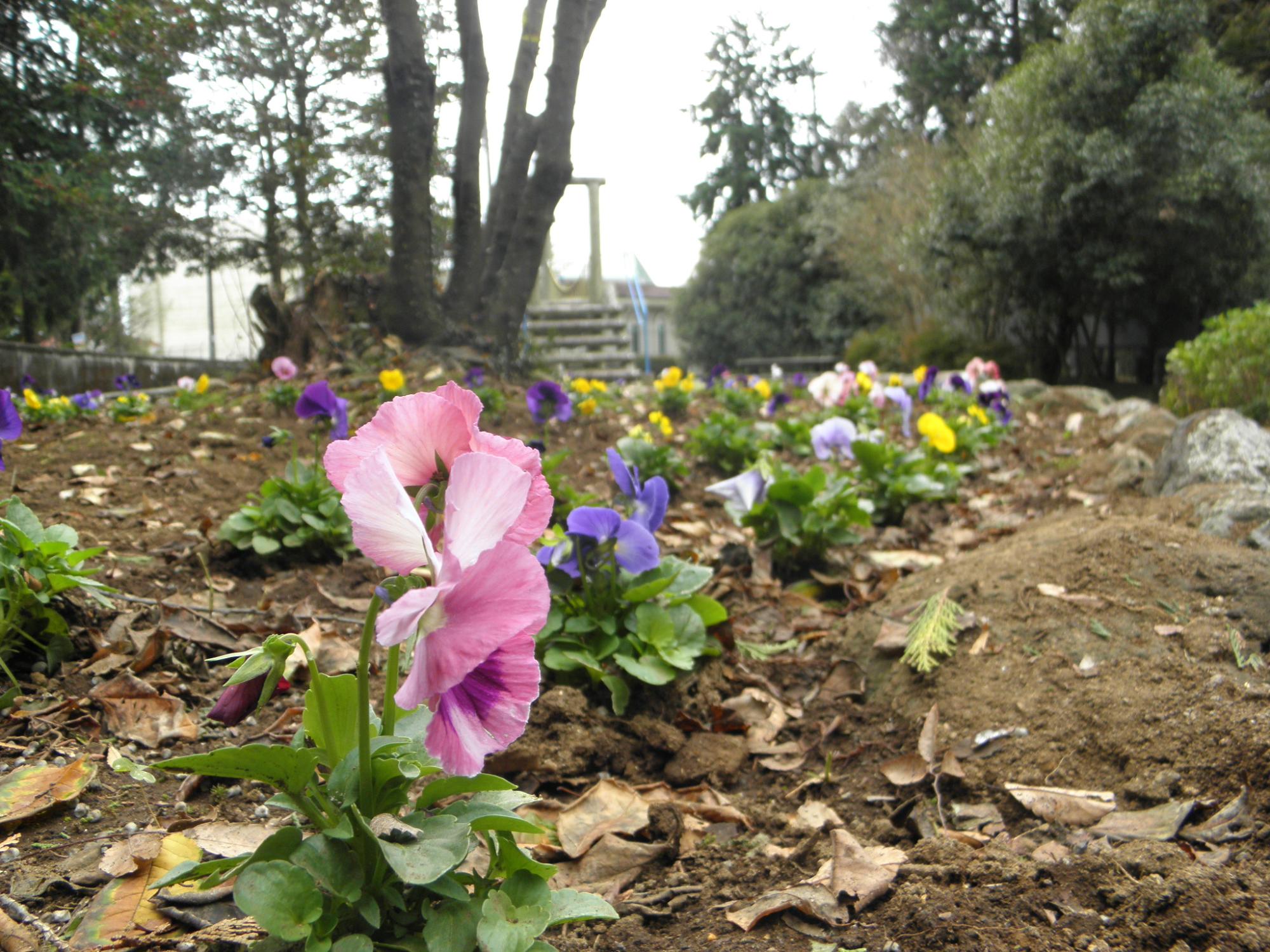 石脇親水公園