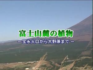 5.富士山麓の植物