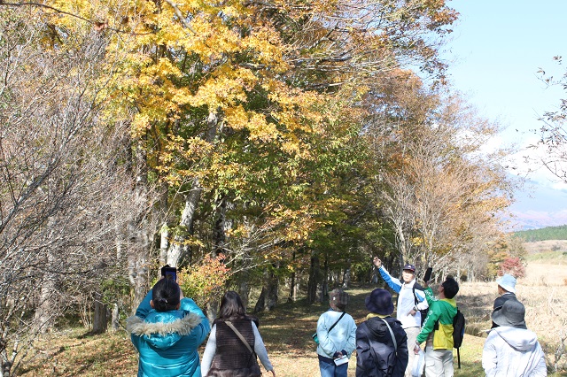 木の下で話を聞く参加者の写真