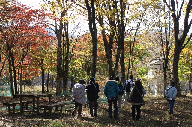 色とりどりの木々の間を歩く参加者の写真