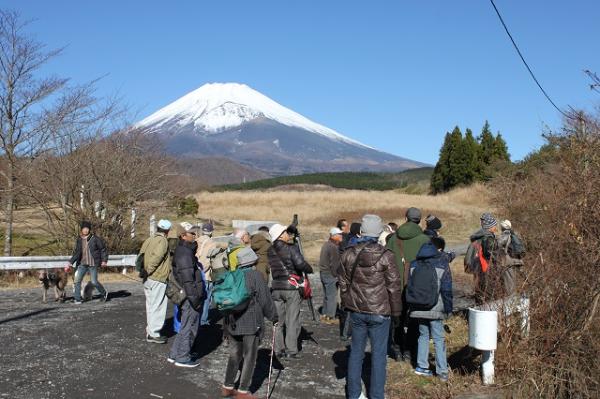 富士山の前で参加者が野鳥を探している写真