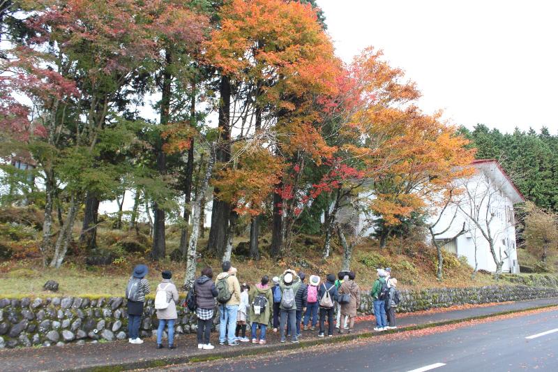 資料館の紅葉の写真