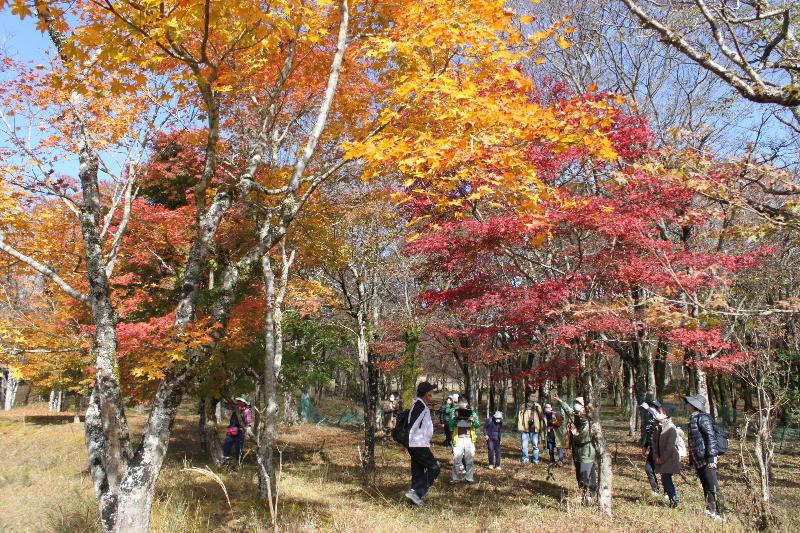 木の下で説明を聞く参加者