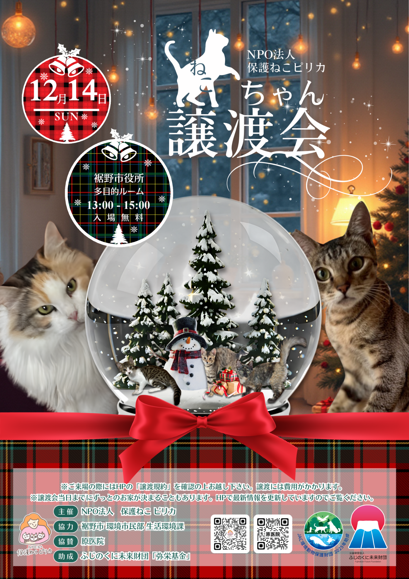 保護ねこ譲渡会