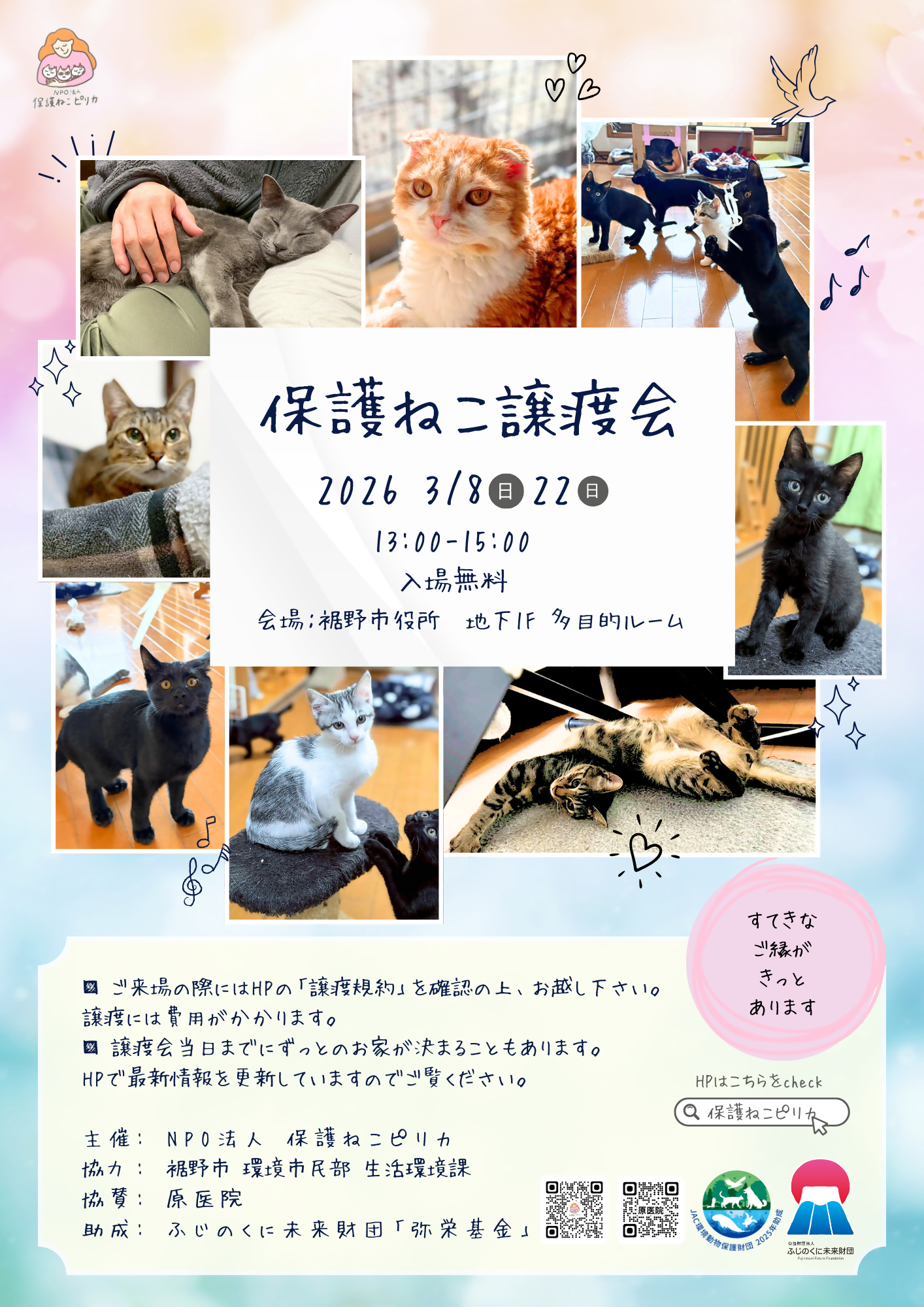 保護ねこ譲渡会