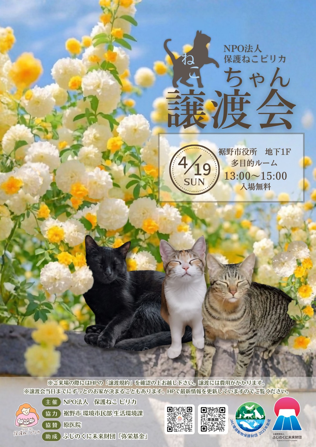 保護ねこ譲渡会